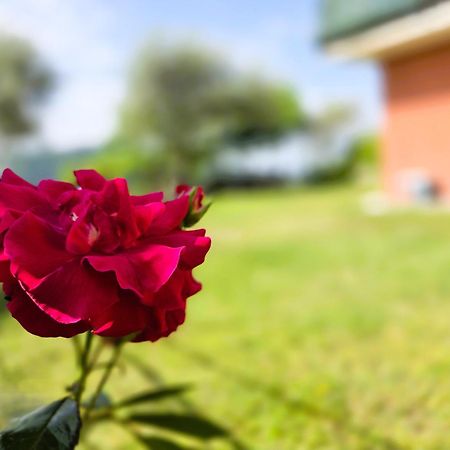 Relais Villa Olivi Costermano Bagian luar foto